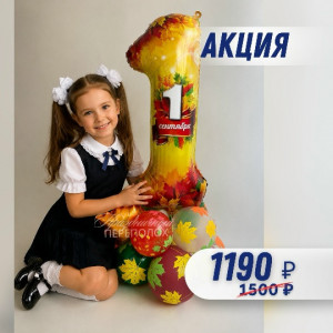 шары на День Знаний